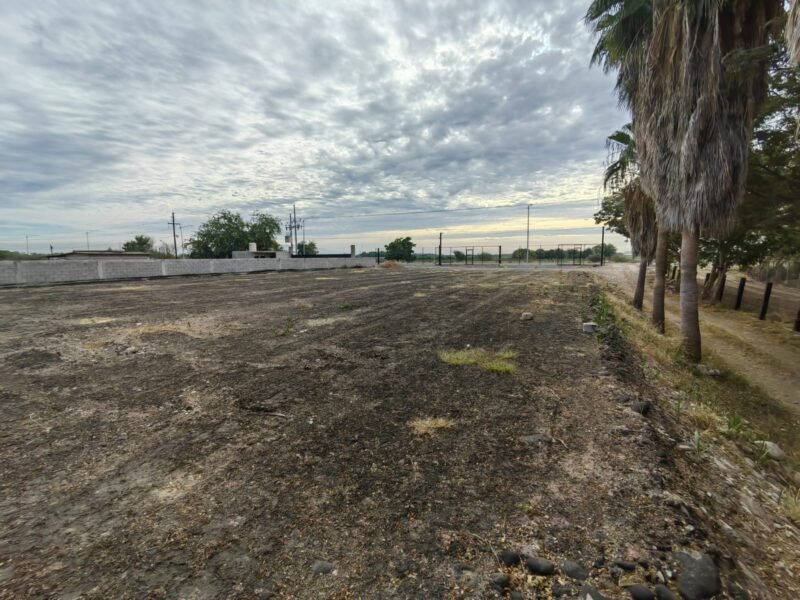 Yarda en El Diez, Culiacán