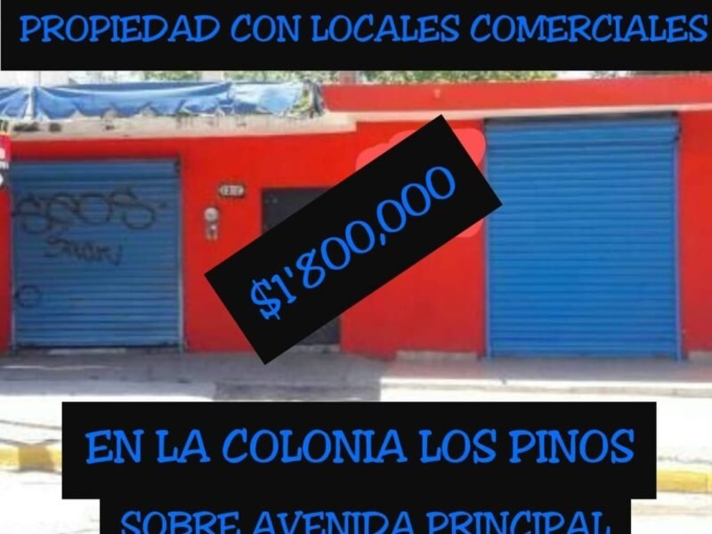 Oportunidad Propiedad con 2 Locales Comerciales en Los Pinos, Culiacán