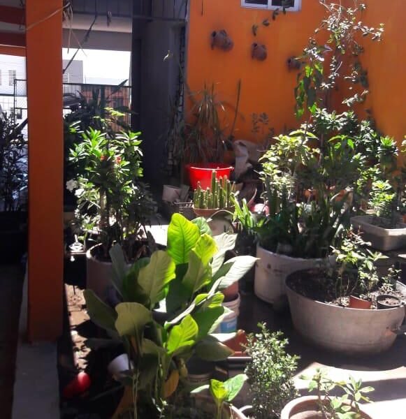 Casa Grande en Col. Nuevo México (Parque ´87)