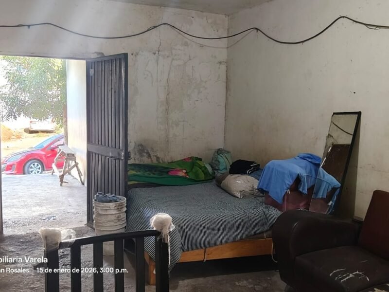 Casa con Local Comercial en Venta, Col. Progreso (Sector San Isidro), Culiacán