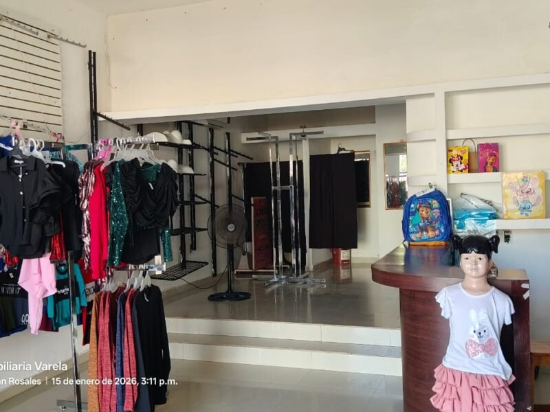 Casa con Local Comercial en Venta, Col. Progreso (Sector San Isidro), Culiacán